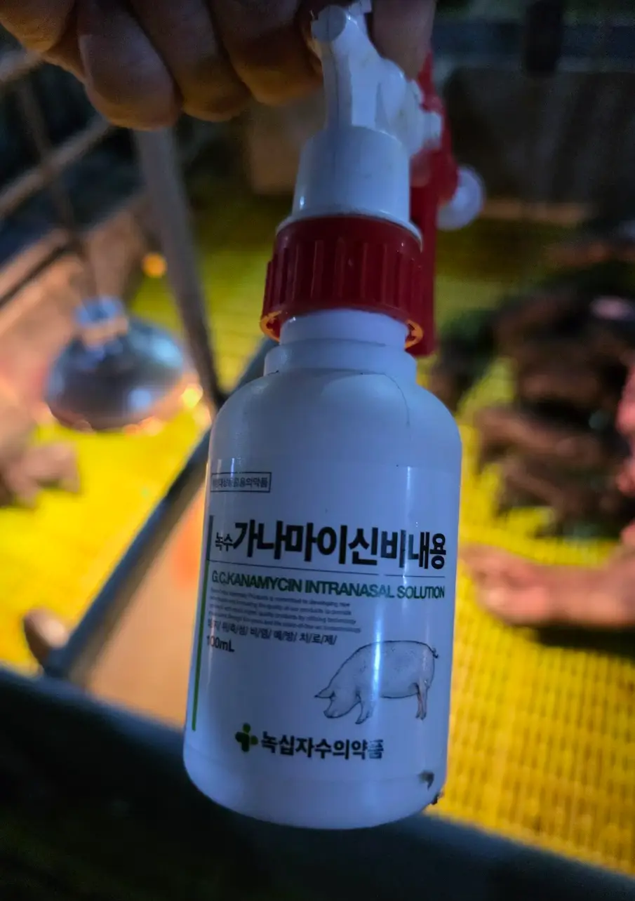 녹십자수의약품 녹수 가나마이신 비내용 제품 사진